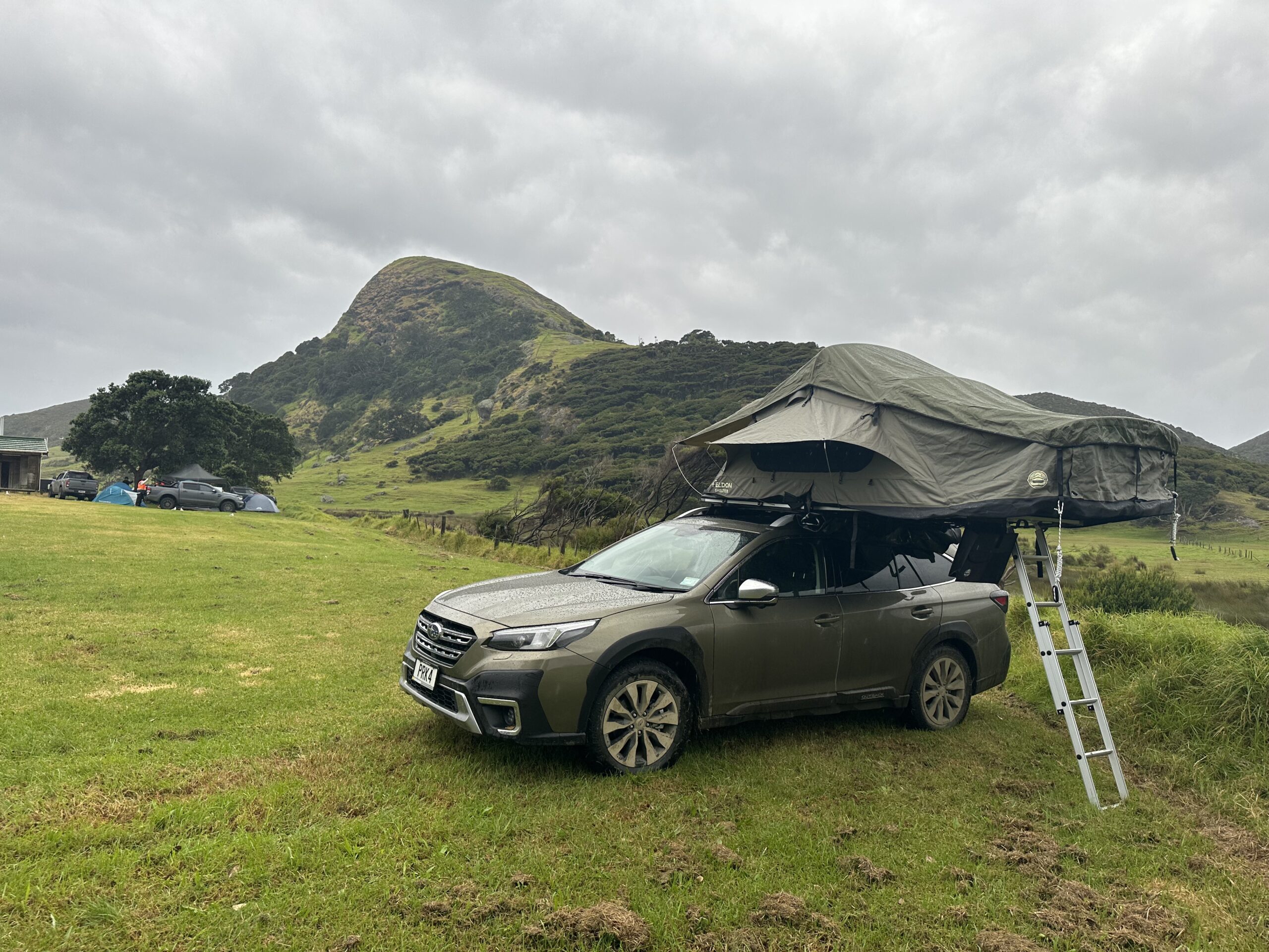21 Day NZ Tour